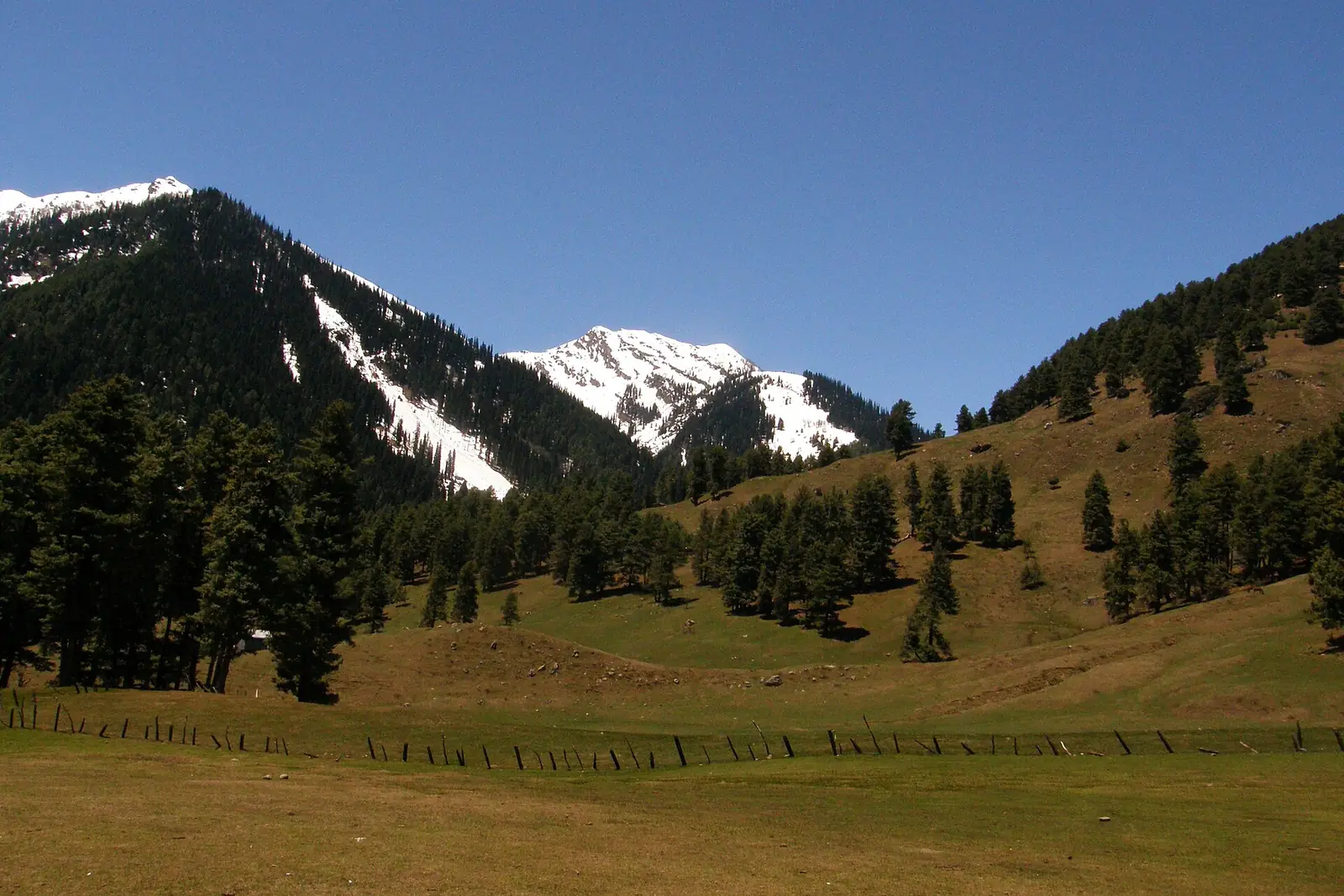 Meadows below a snow peak in Aru Valley, above Pahalgam