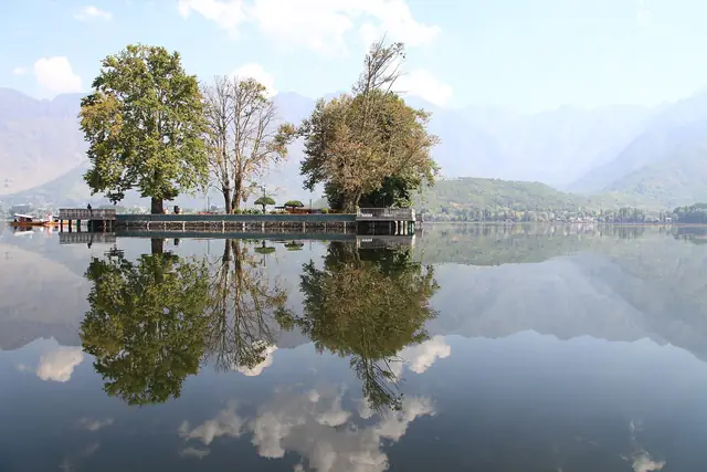 Char Chinar island, Dal Lake