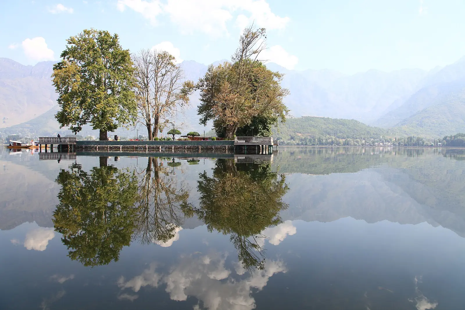 Char Chinar island reflected in Dal Lake, Srinagar