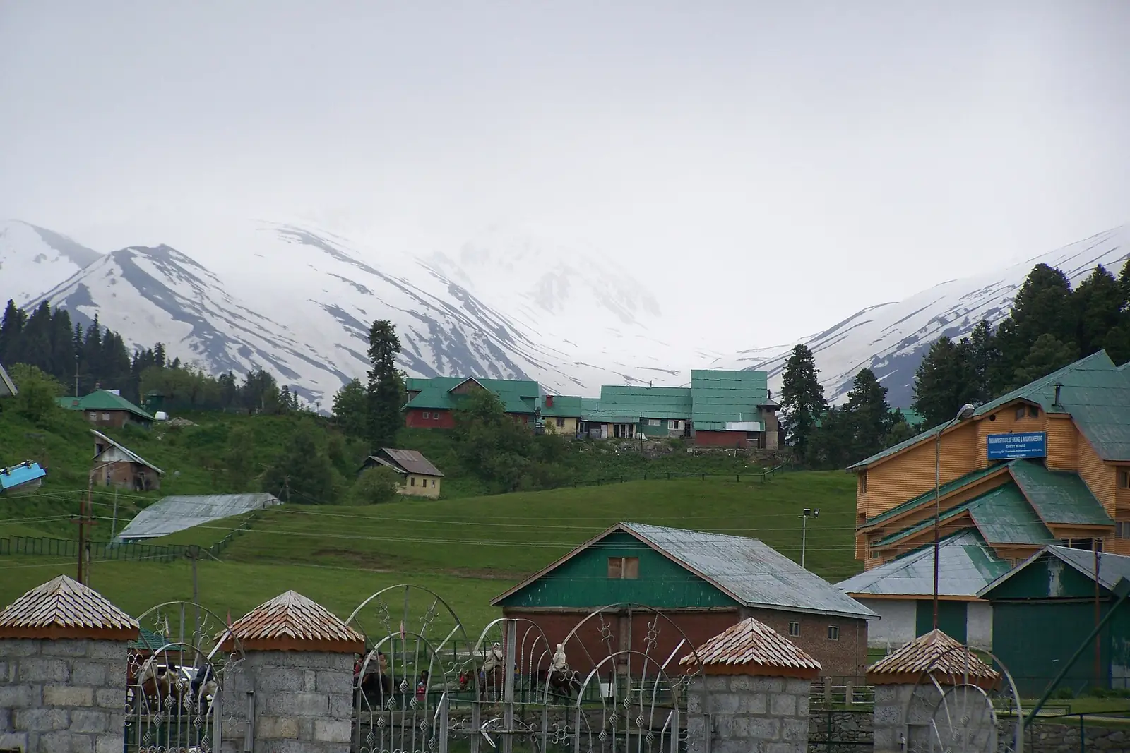 Summer meadows below the snow peaks at Gulmarg