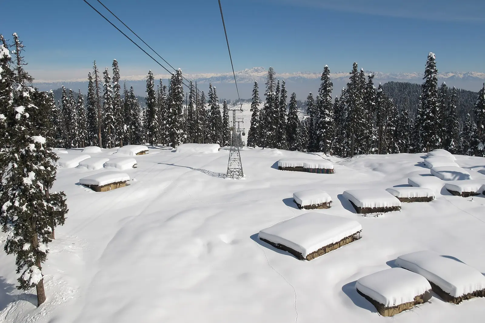 Gulmarg — Flower meadows in summer, ski slopes in winter, and the Gondola